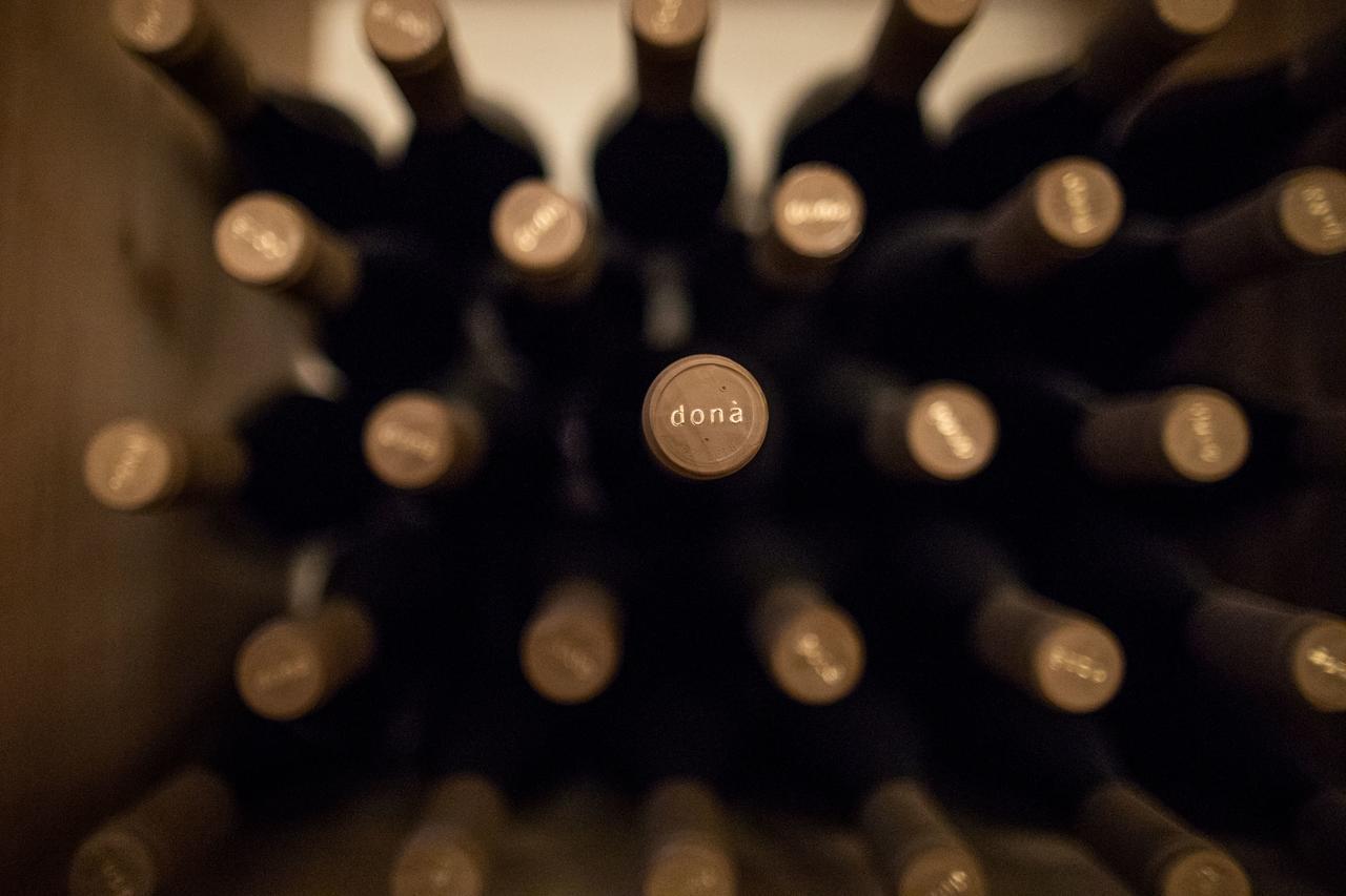 Weingut Dona Farm stay